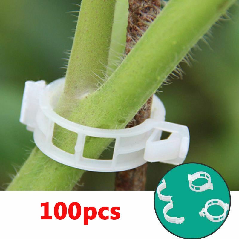 Green Garden Safe Plant Support Clips - Image 5