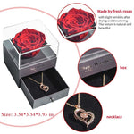 Natural Eternal Rose Necklace Jewelry Box