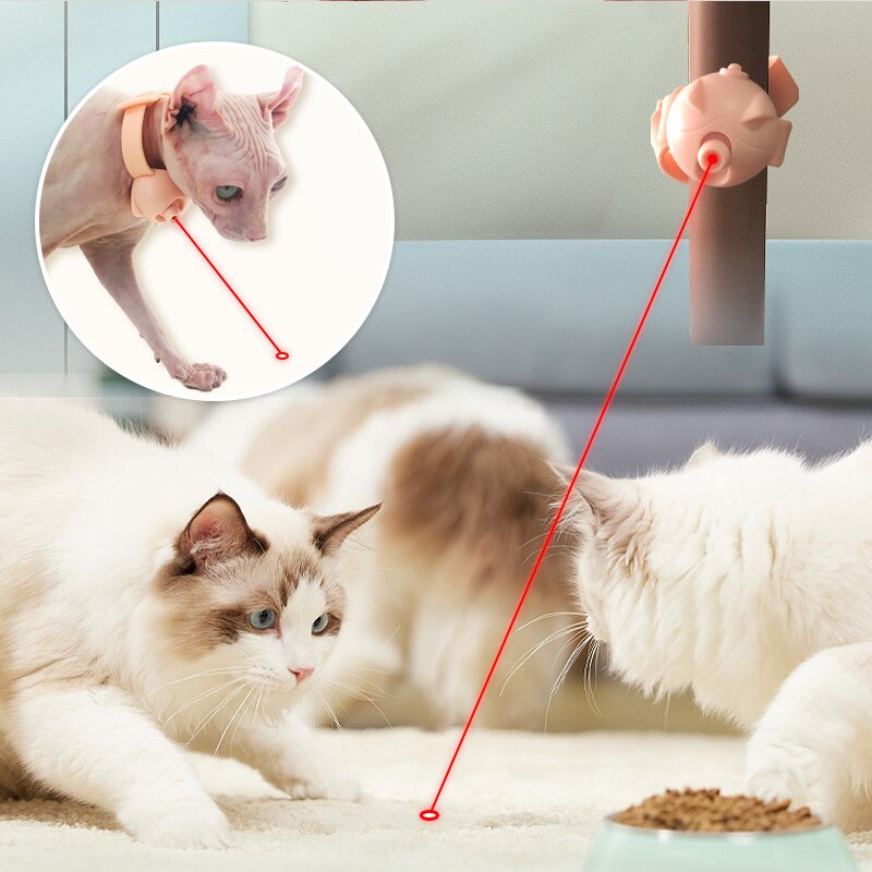 Laser Pointer Flashlight Cat Toy - Image 4