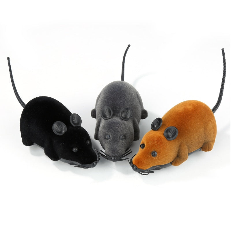 Pet Interactive Remote Control Toy - Image 5