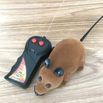 Pet Interactive Remote Control Toy