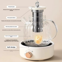 Wavy Glass Heat Adjustable Tea Maker - Image 4