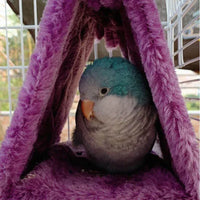 Hanging Tent Bird Hammock - Image 3
