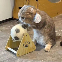 Mini Football Cat Exercise Training Toy Stand - Image 3