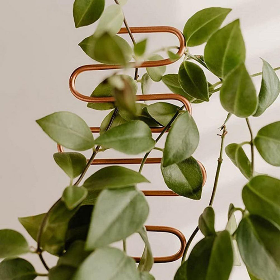 Nordic Plant Climbing Rack - Image 0