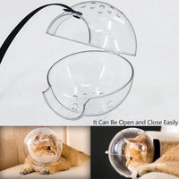 Bubble Cone Transparent Cat Recovery Groom Helmet - Image 2