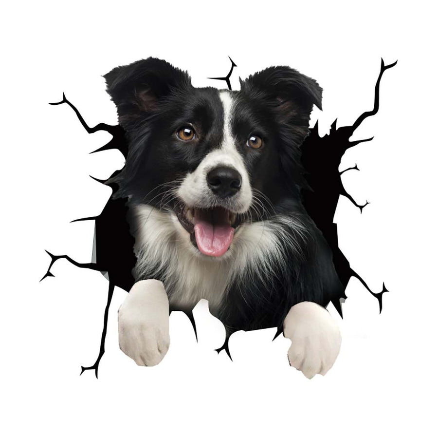 Car Scratch Hider 3D Puppy Sticker - Image 20