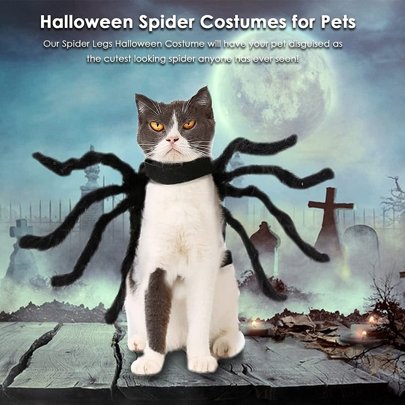 Black Spider Pet Costume