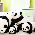 Panda Family Pillows