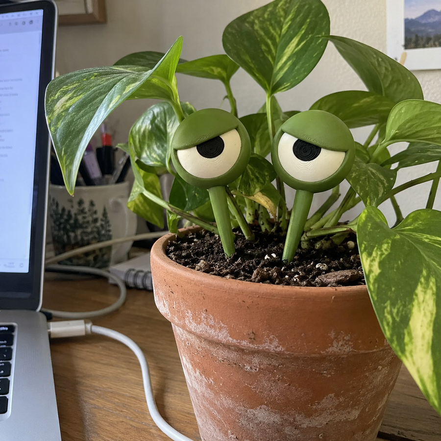 Grumpy Ansigts Øjenplante Dekoration