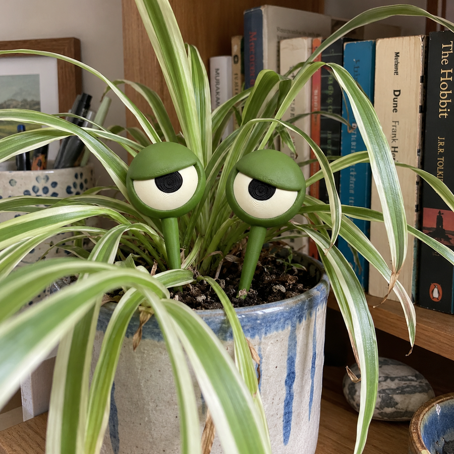 Grumpy Ansigts Øjenplante Dekoration