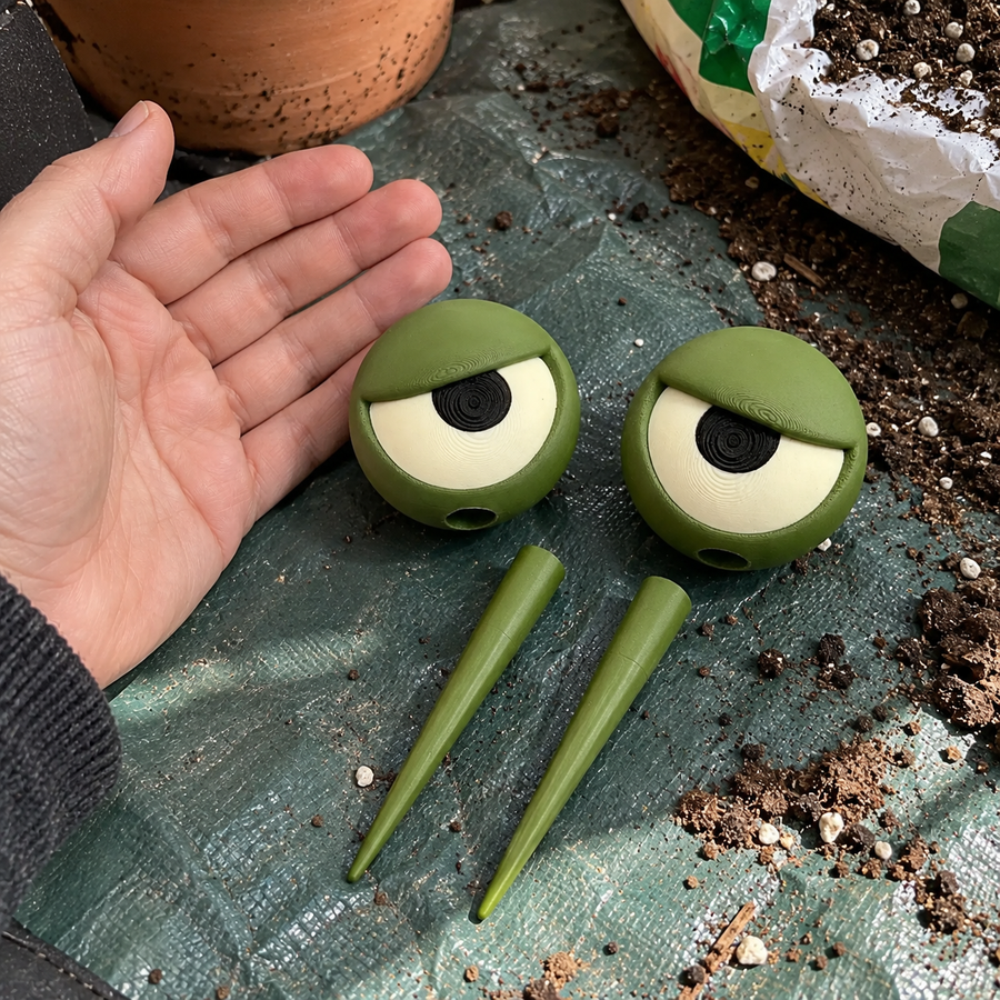 Grumpy Ansigts Øjenplante Dekoration