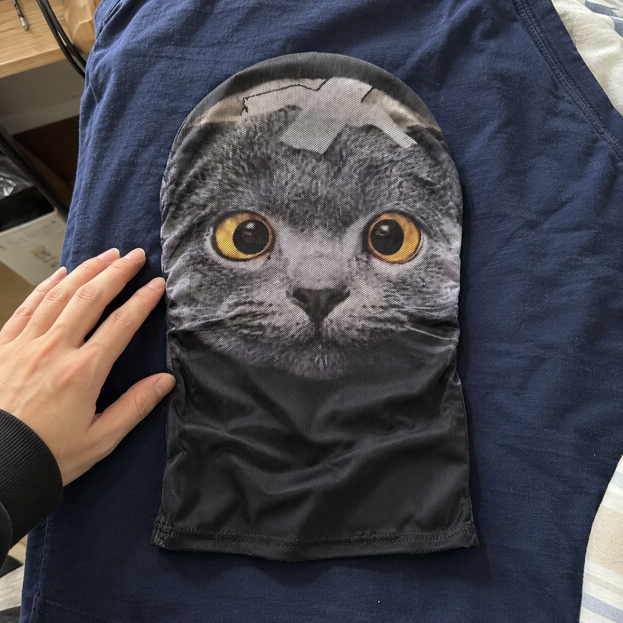 You've Been Catfaced Mesh-Maske