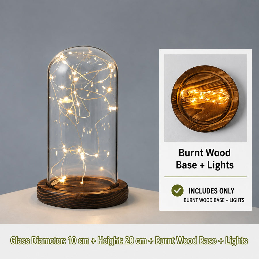Christmas Cylinder Glass Dome Display with Wooden Base