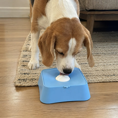 Snack Wheel Rotating Slow Feeder Pet Bowl