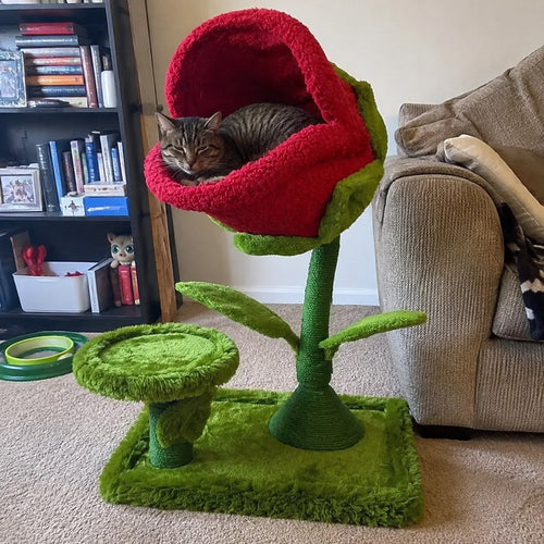 Monster Petal Cozy Cat Climbing Tower Bed