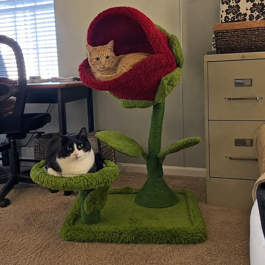 Monster Petal Cozy Cat Climbing Tower Bed