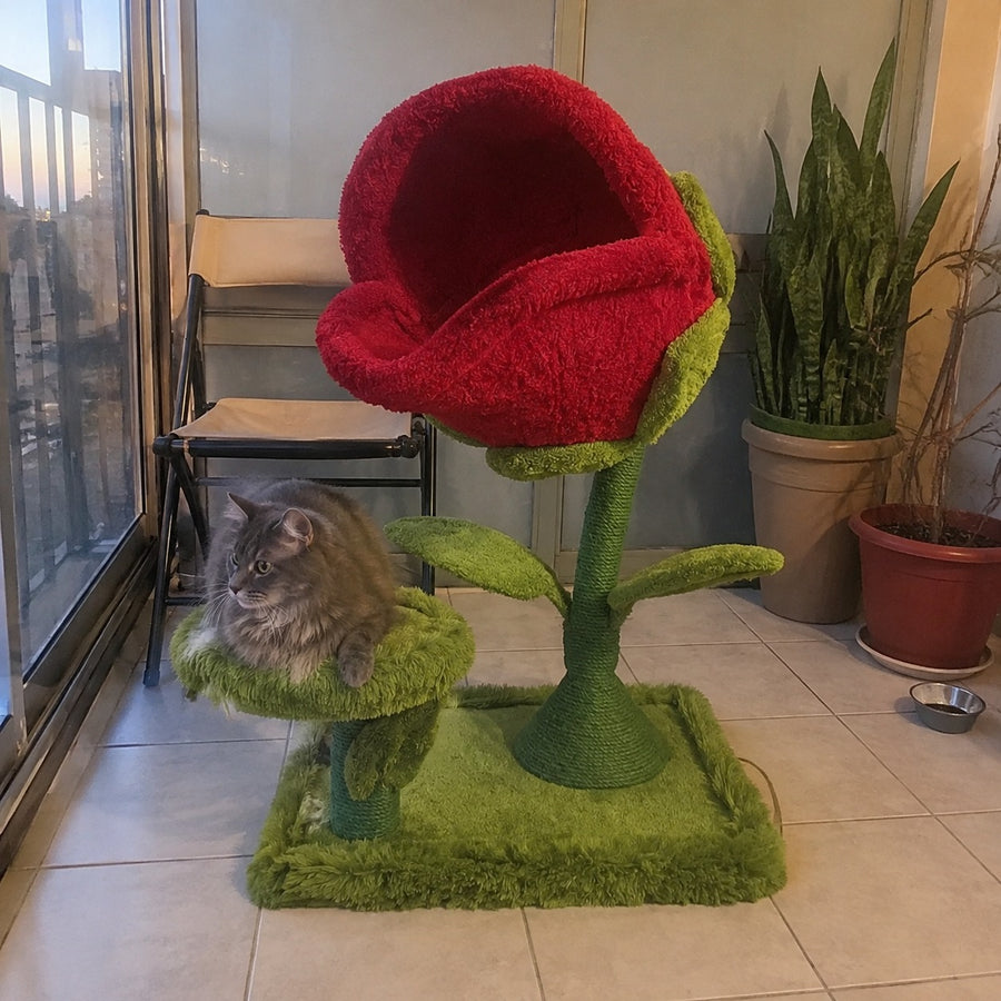 Monster Petal Cozy Cat Climbing Tower Bed