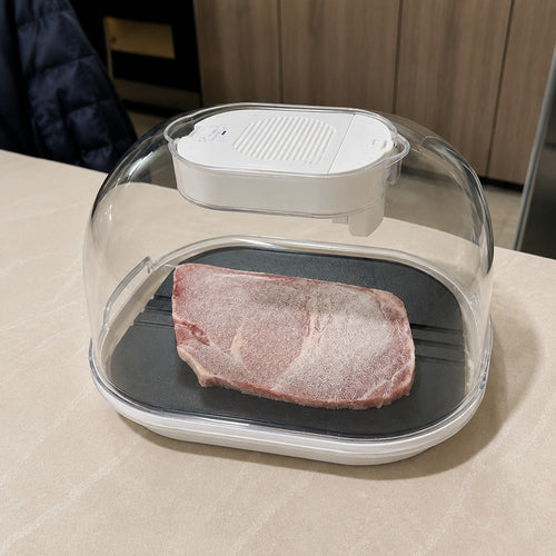 Smart Quick Defrosting Box Machine