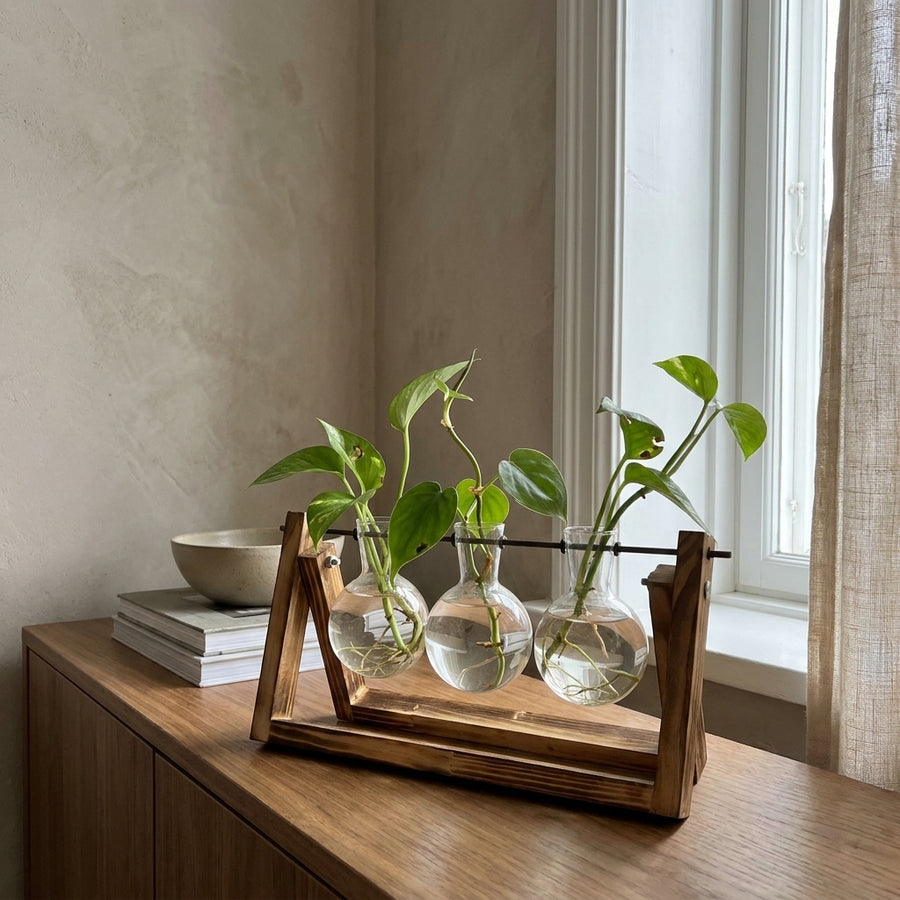 Creative Transparent Wooden Vase Decoration