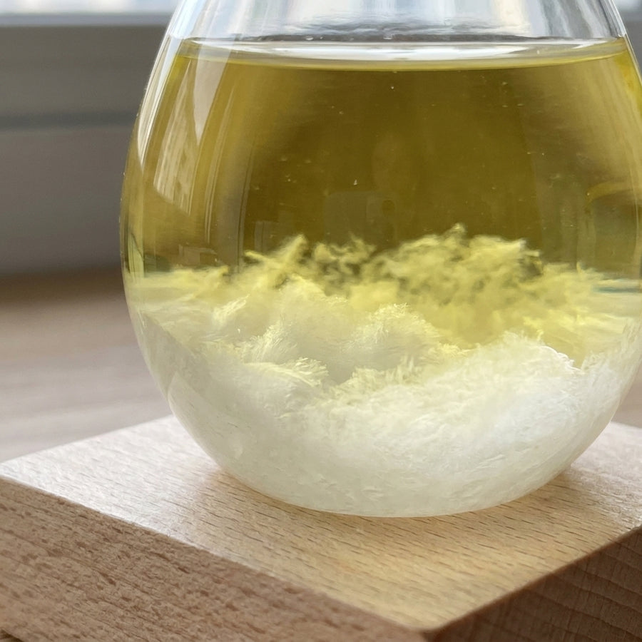 Storm Glass Forecast with Wood Base for home Decoration