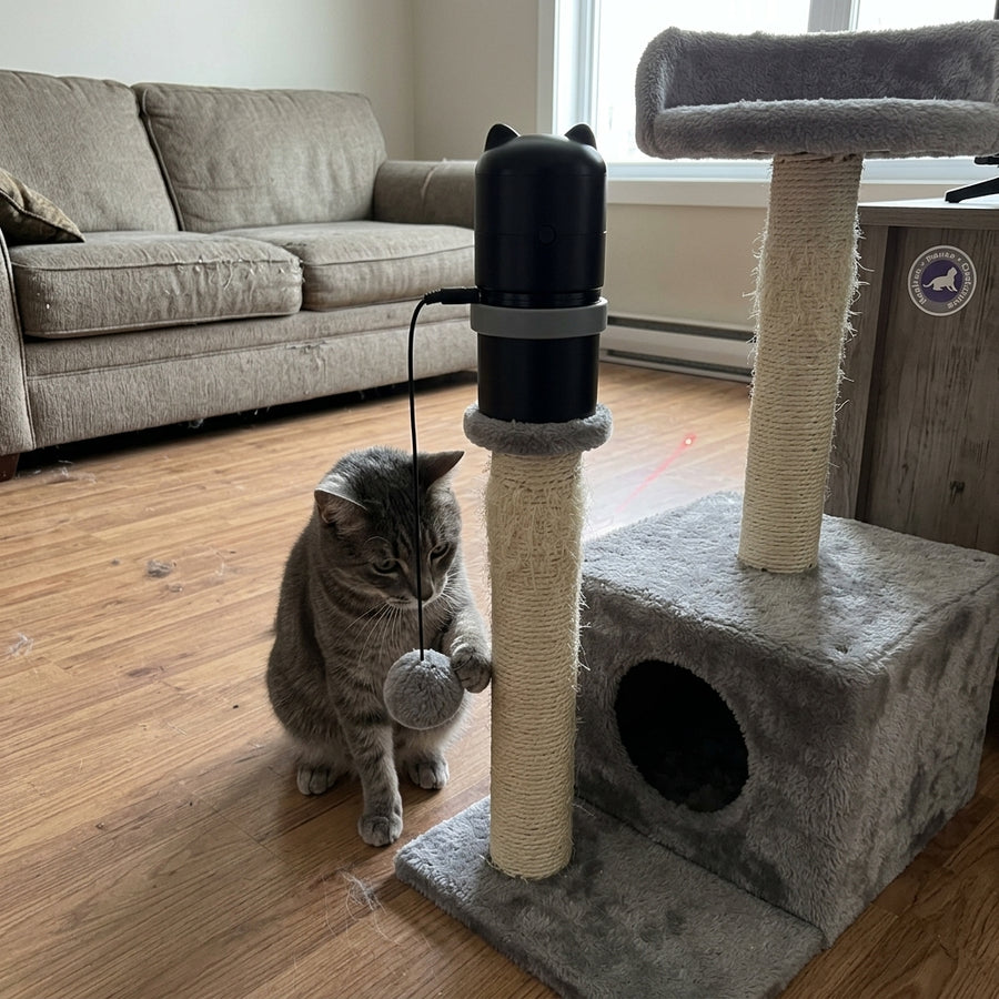 Electronic Creative Portable Pet Laser Cat Toys