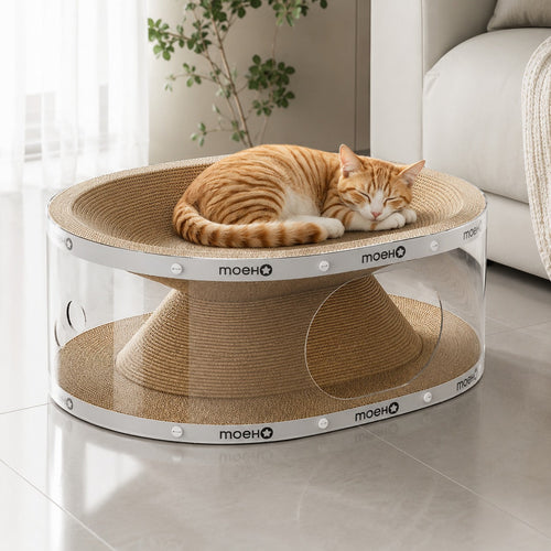 Window Seat Transparent Tunnel Cat Scratcher Lounge Bed - Image 0
