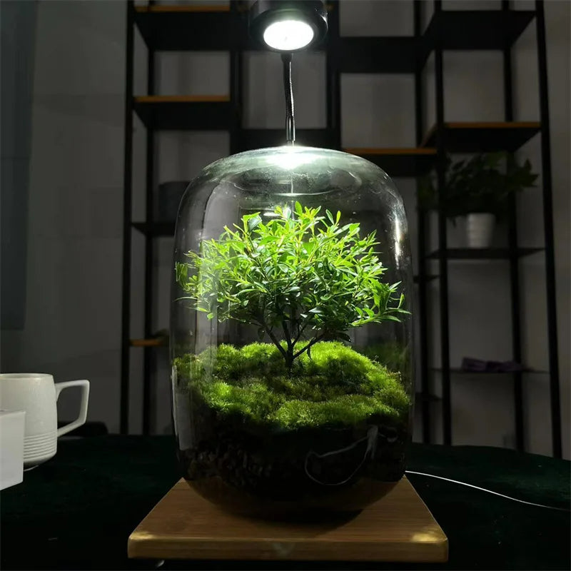 Micro Landscape Green Oasis Glass Vase - Image 2