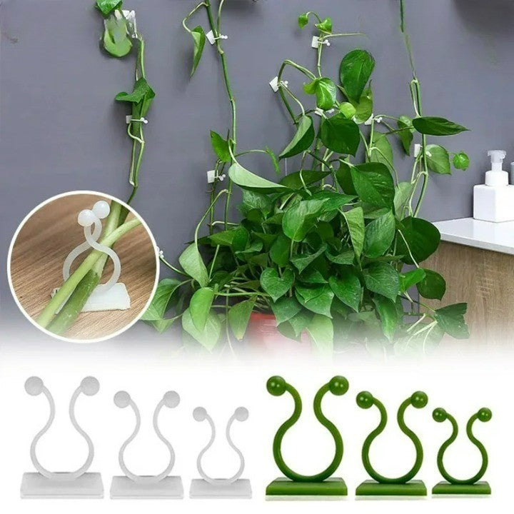 Self-Adhesive Plant Holder Mini Wall Clips - Image 0