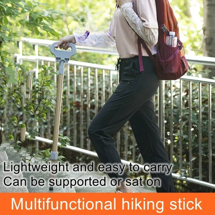 Hike Seat Combo Telescopic Stick - Image 1