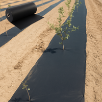 Garden Ground Cover Long-Lasting Anti-grass Fabric - Image 0
