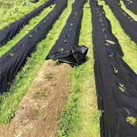 Garden Ground Cover Long-Lasting Anti-grass Fabric - Image 2