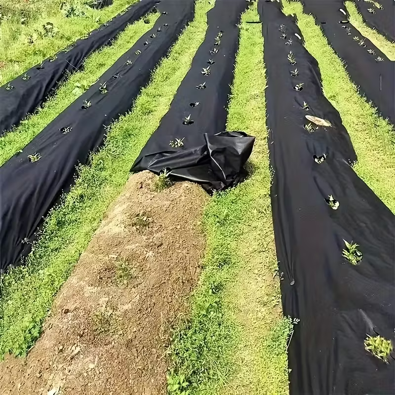 Garden Ground Cover Long-Lasting Anti-grass Fabric - Image 2