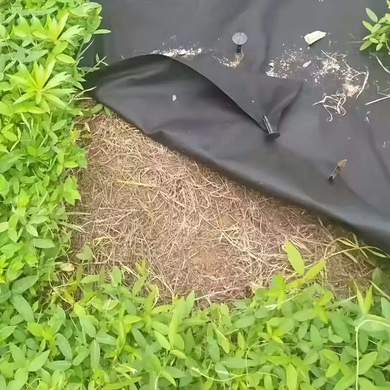 Garden Ground Cover Long-Lasting Anti-grass Fabric - Image 3