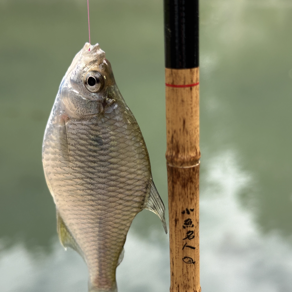 Handmade Hook Portable Fishing Rod Set - Image 7