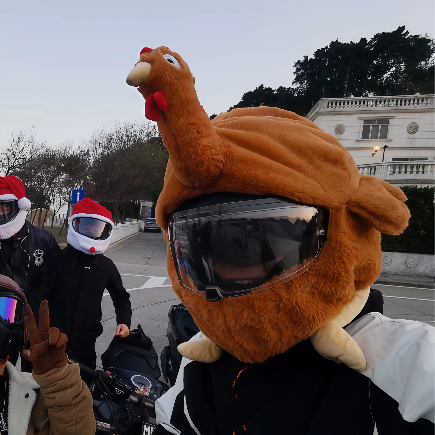 Fluffy Animals Funny Helmet Covers - Image 5