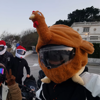 Fluffy Animals Funny Helmet Covers - Image 5