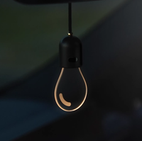Ambient Soft Light Bulb Car Decor - Image 0