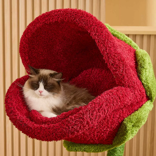 Monster Petal Cozy Cat Climbing Tower Bed