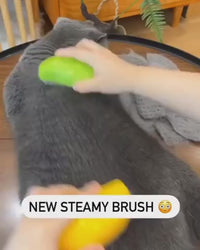 Refreshing Mist Pet Grooming Comb - Image 2
