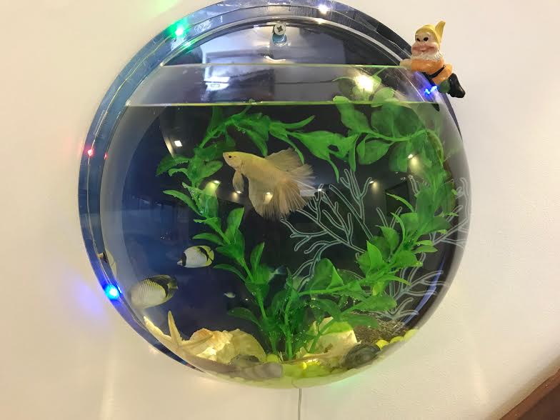 Wall-Mounted Modern Acrylic Fish Tank - Image 3