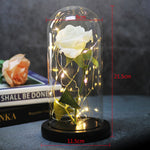 Eternal Artificial Rose Glass Dome