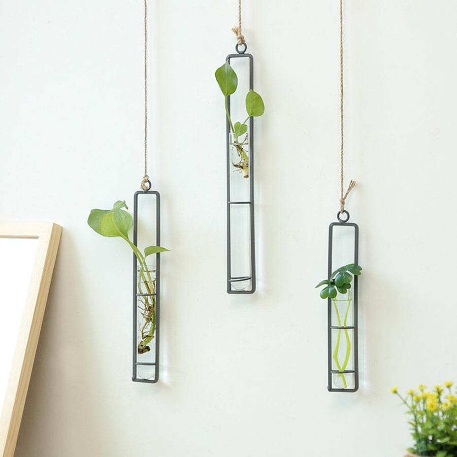 Iron Transparent Wall Hanging Flower Pot - Image 3
