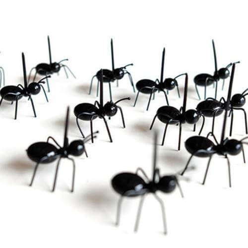 12Pcs Ants Food Fruit Holder