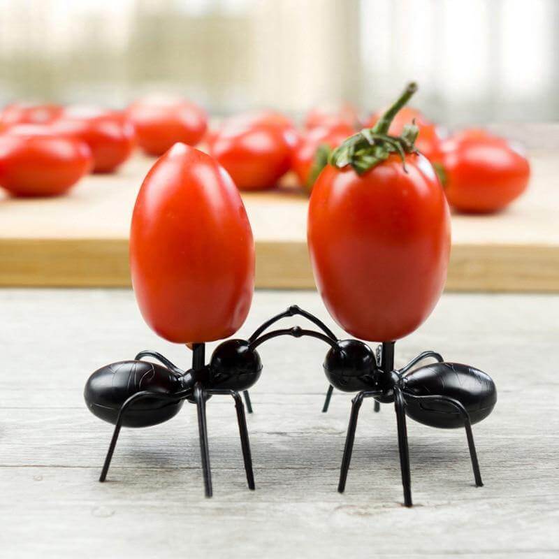 12Pcs Ants Food Fruit Holder