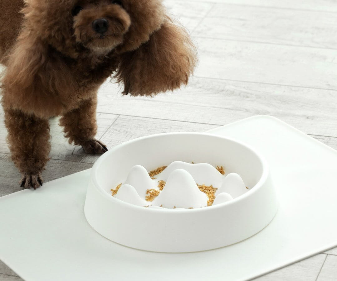 Modern Pet Slow Food Bowl