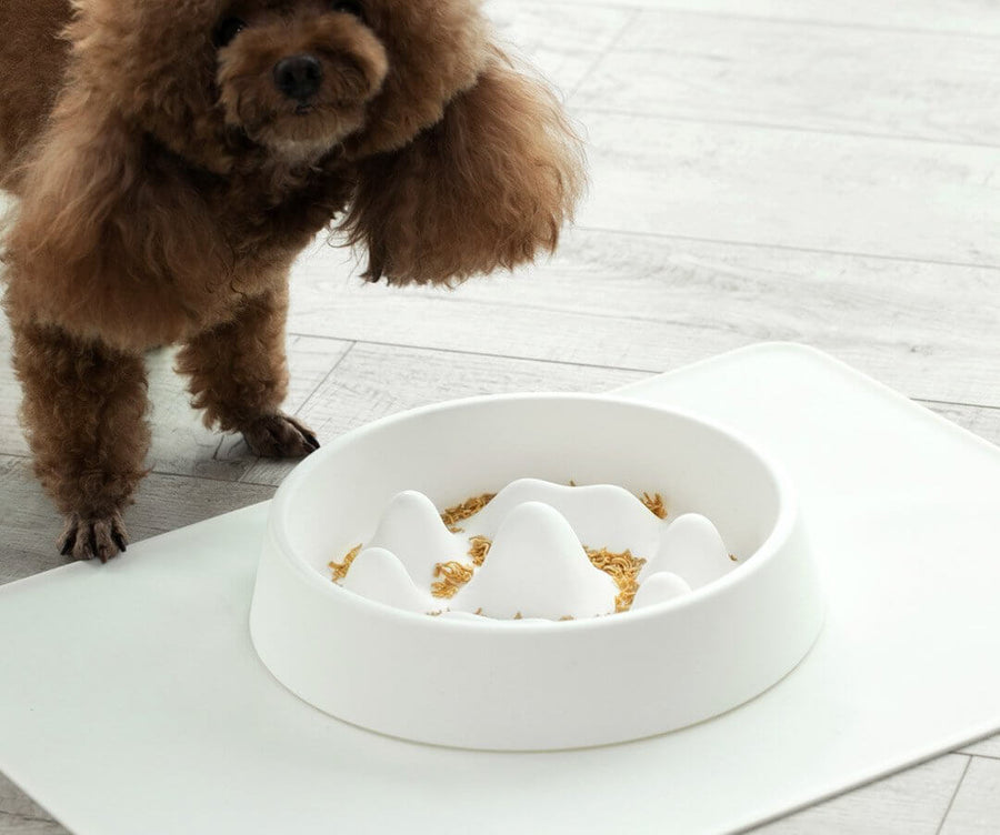 Modern Pet Slow Food Bowl - Image 3