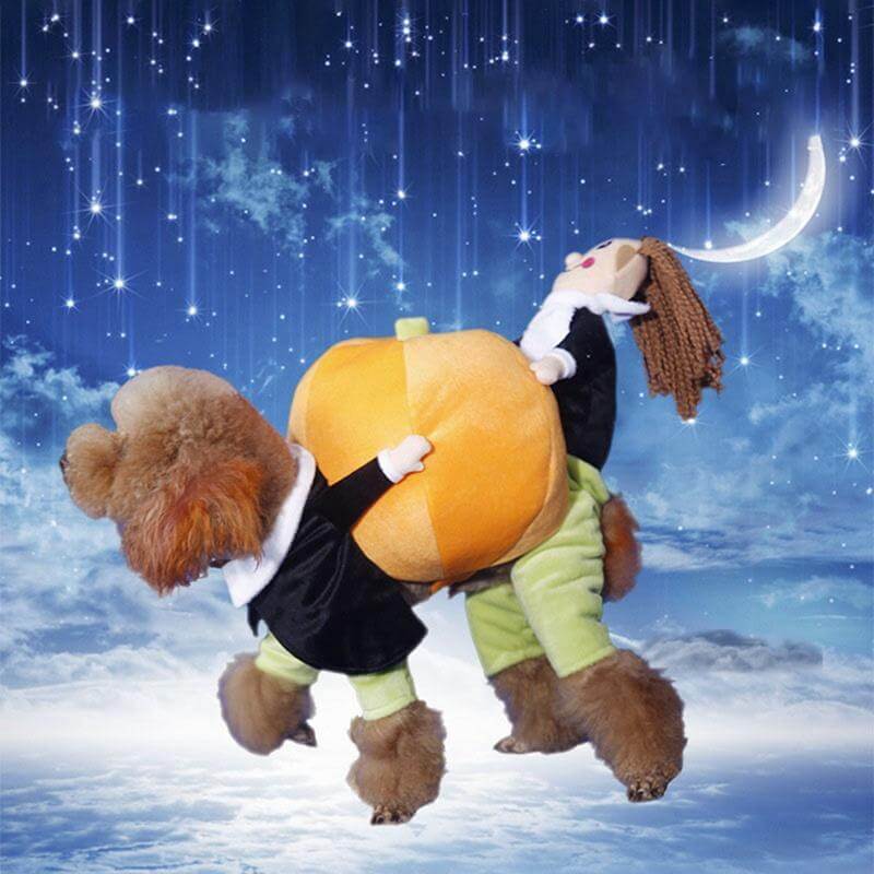 Dog Pumpkin Costume - MaviGadget