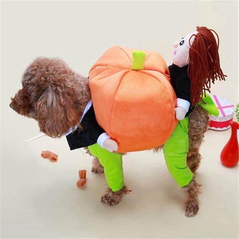 Dog Pumpkin Costume - Image 3