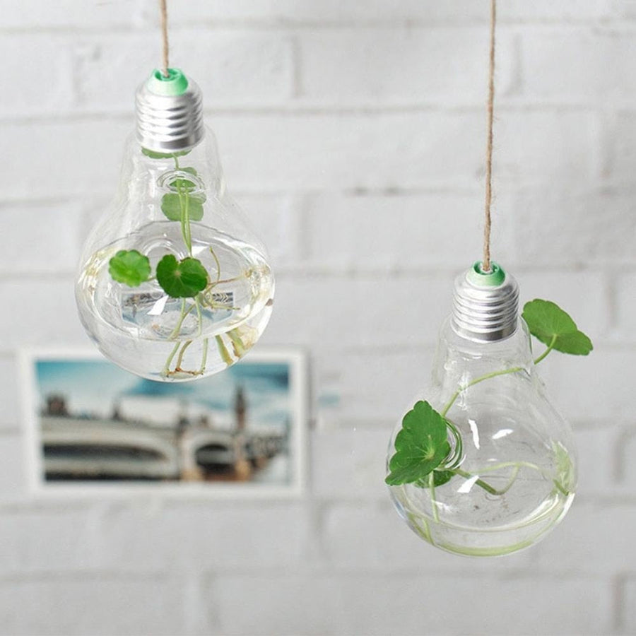 Hanging Glass Light Bulb Lamp Shape Flower Water Plant - Image 3